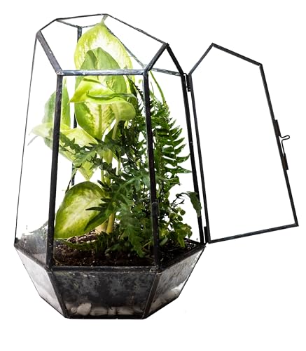 KraftStories Klarglas-Terrarium mit Tür | Behälter mit geometrischem Design | idealer Übertopf für Moos und Zimmerpflanzen | hält die Luftfeuchtigkeit | Selbstpflegendes Indoor-Garten-Ökosystem (nur von KRAFTSTORIES