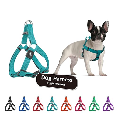 Kruz PET Step in Mesh Hundegeschirr No Pull Quick Fit Bequem Verstellbar Haustier Geschirr für Spaziergang Training Kleine Mittel Große Hunde Mint Grün von KRUZ PET