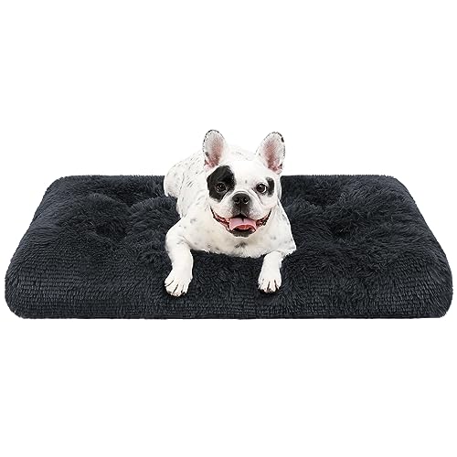 KSIIA Hundebett kleine Hunde Waschbar, Plüsch Hundekissen flauschig, 60x45cm, rutschfeste Unterseite, Hundematte, Hundekorb Hundematratze atmungsaktiv Haustierbett Schattengrau von KSIIA