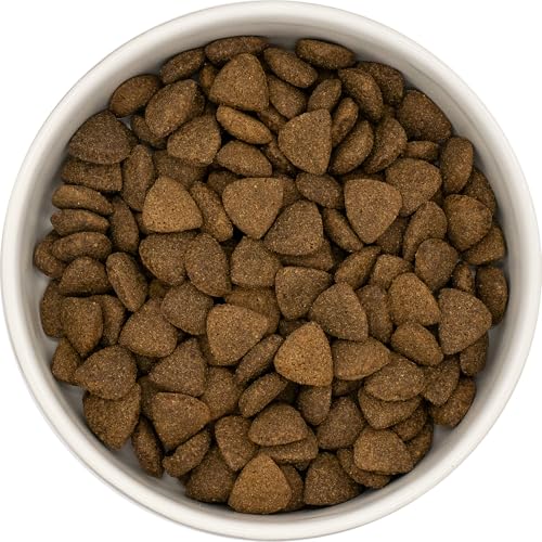 KT-Pets - Angus-Rind - Premium-Hundefutter - Trockenfutter für alle Hunderassen - 12kg von KT-Pets