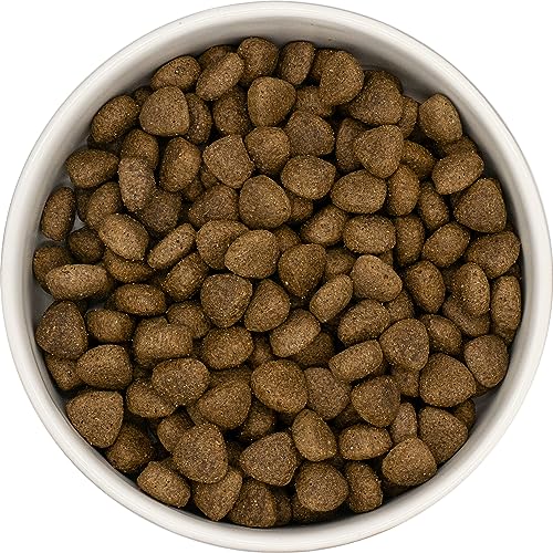 KT-Pets-Lamm mit Reis-Basic-Hundefutter-Trockenfutter für alle Hunderassen- 1,5 kg von KT-Pets