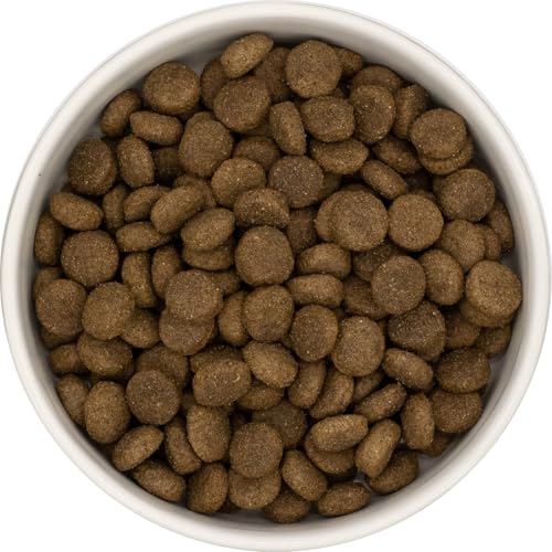 KT-Pets - Lamm mit Reis - Classic-Hundefutter - Trockenfutter für alle Hunderassen - 10kg von KT-Pets