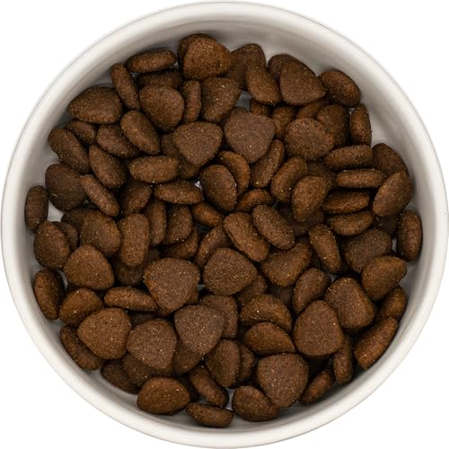 KT-Pets-Landente-Premium-Hundefutter-Trockenfutter für alle Hunderassen-1er Pack (2 KG (1er Pack)) von KT-Pets