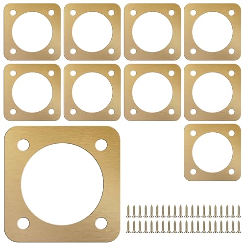 10 Stück Vogelhaus Metall Schutzplatte 38mm Spechtschutz für Nistkasten Messinglegierung mit 40 Schrauben Vogelhaus Schutzplatte Rostfrei Stabil Zubehör für Nistkästen Raubtierschutz von KTCINA