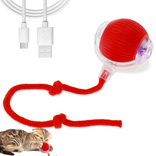 Interaktives Katzenspielzeug Katzenball mit USB-Kabel ⌀7cm 4 Spaßmodi Ultra Robuste Kaubeständige Interaktives Ball Spielzeug für Katzen Automatisch Rollender Ball für Katzen Hund (Stil2) von KTCINA