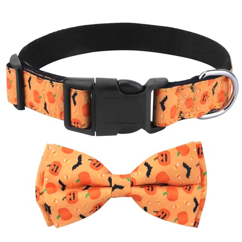 Hundehalsband Halloween, mit Hunde Fliege Abnehmbarer, Personalisiert Hunde Halsband, verstellbares Hundehalsband, für Hunde Kleine Mittel große Hunde, Halloween von KTWSUEF