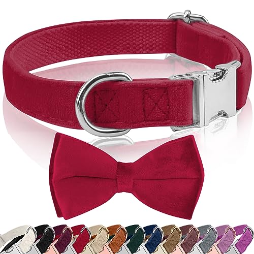 Hundehalsband Samtige, mit Hunde Fliege Abnehmbarer Hundehalsband, Personalisiert Hunde Halsband, verstellbares Halsband Hund, für Hunde Kleine Mittel große Hunde (M, rosa) von KTWSUEF