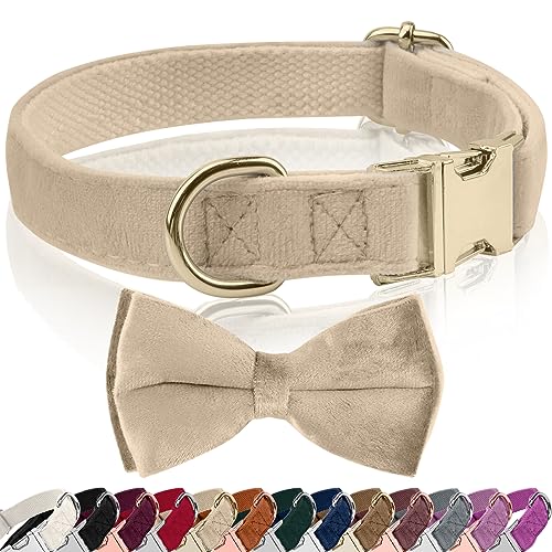 Hundehalsband Samtige, mit Hunde Fliege Abnehmbarer Hundehalsband, Personalisiert Hunde Halsband, verstellbares Halsband Hund, für Hunde Kleine Mittel große Hunde (XL, Khaki) von KTWSUEF