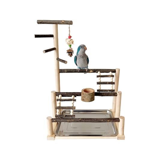 Papageienkäfig-Spielzeug, Vogel-Trainingsständer mit Futterbechern, Nymphensittich-Trainingsstange, Fitnessstudio, Nagelgitter-Sitzstange für den Innenbereich, Vogelsitzstangen für Papageien, von KUAIYIJU