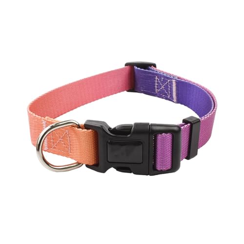 KUBEMUEG Personalisiertes Hundehalsband, Sicherheitshalsband mit Schnalle, Nylon-Hundehalsband für kleine, mittelgroße und große Hunde (Medium, Farbverlauf) von KUBEMUEG