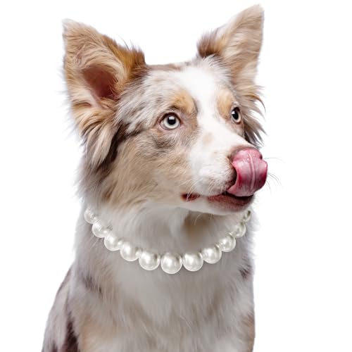 KUDES Exquisite und verstellbare Hundehalskette: elegante, klassische Perlen-Halsband-Halskette, Zubehör für Hunde, Anlässe und Versammlungen (L(35,6–40,6 cm)) von KUDES