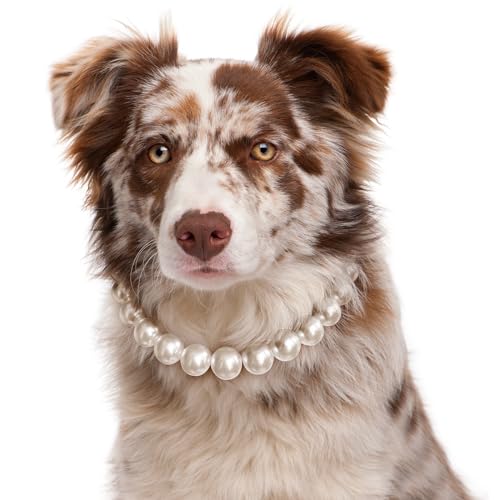 KUDES Exquisite und verstellbare Hundehalskette: elegante, klassische Perlenhalsband-Halskette, Zubehör für Hunde, Anlässe und Versammlungen (XL (41,5 - 59,6 cm) von KUDES