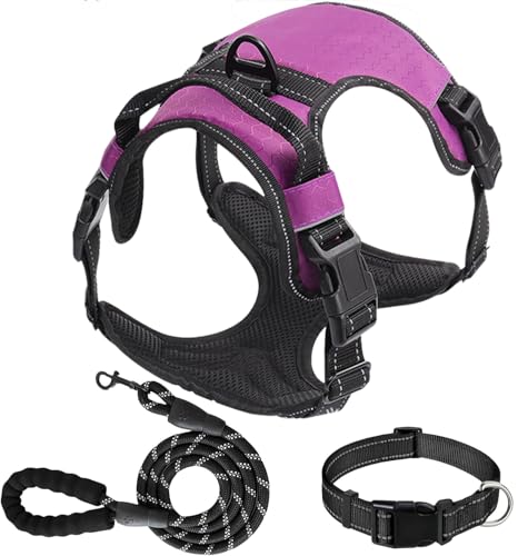 Hundegeschirr-Set, kein Ziehen, Hundegeschirr, 1,5 m Leine und Halsband für kleine, mittelgroße und große Hunde und Katzen, verstellbar, weiches Nylon, gepolstert, reflektierend, Frontclip, Weste mit von KUEIOX