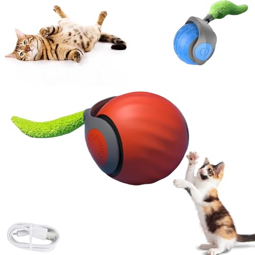 KUICEO Speedy Tail 2.0, Speedy Tail 2.0 Cat Toy, Automatic Moving Cat Toy Ball, Smart Cat Toyechargeable Smart Cat Toys with Tail, Two Speed Adjustment, with Replacement Tail (Orange) von KUICEO