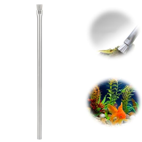 KUIDAMOS Algenbürste für Aquarien, Algenbürste für Aquarien, Reinigungsbürste aus Edelstahl 304, Metallborsten für Aquarien, für Stein, 23 cm von KUIDAMOS