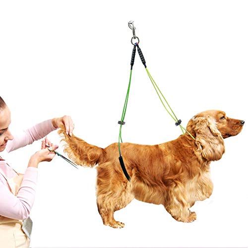 Rückhalteseil No-Sit-Beinstütze Haustierpflegeleine Haustierpflegebogen Starker Bauchgurt Leine Arm für Haustierhundepflegetisch (Gelb+Grün) von KUIDAMOS