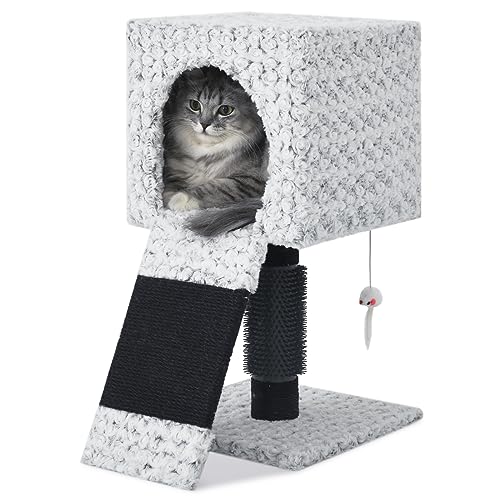 Kleiner Katzenbaum Katzenturm, Katzenhütte für Kätzchen bis 3,2 kg, Kletterleiter, Katzenbaum für Indoor-Katzen mit Kratzpad Pfosten, für Kätzchen Kleine Katzen, Grau von KULAMOON