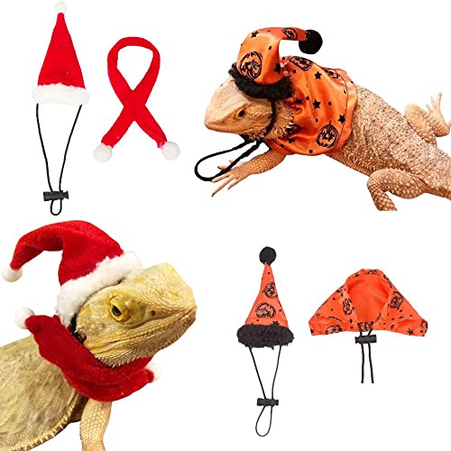 Bartdrache Halloween Hut Umhang Eidechse Kleidung Weihnachtsmütze Schal Set Kleintier Halloween Weihnachten Festival Kostüm (Rot und Orange) von KUNBIUH