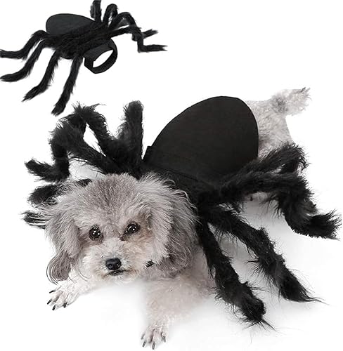 Halloween Deko Kostüm Hundekostüm Katze Katzen Hund Gruselig Costume Hunde Katzenkostüm Cat Horror Spinnenkostüm Spinne Dog Kleidung Decor Grusel Verkleidungen Katzendeko Hundebekleidung Klamotten von KUOL-KIDS