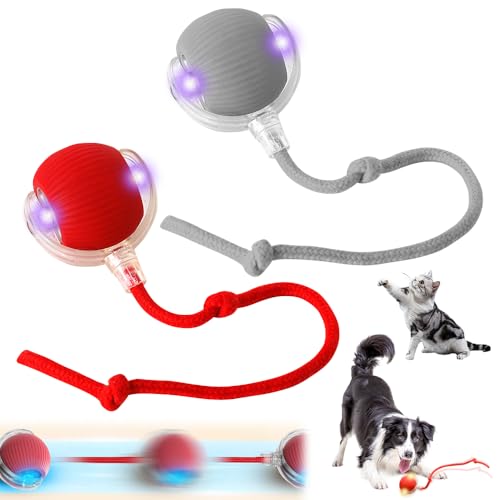 KUWUNG 2 Stück Katzenball Elektrisch, Hundeball Elektrisch mit USB-Ladekabel, Interaktiver Spielball für Katzen Hunde, Hundespielzeug Ball Elektrisch, Interaktives Katzenspielzeug Hundespielzeug von KUWUNG