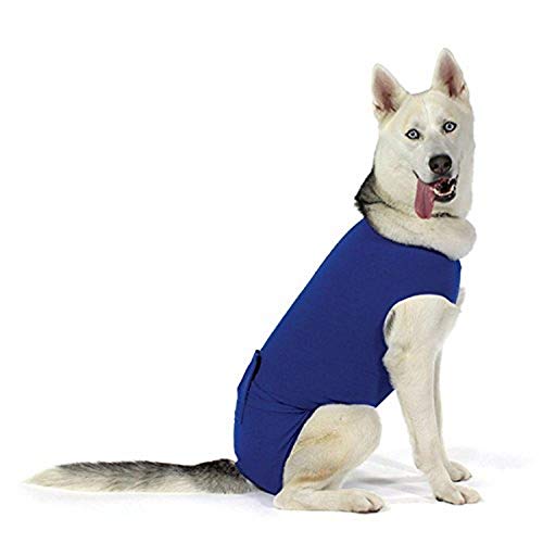 KVP Recova Shirt E-Collar Alternative Pet Recovery Collar, Small von KVP