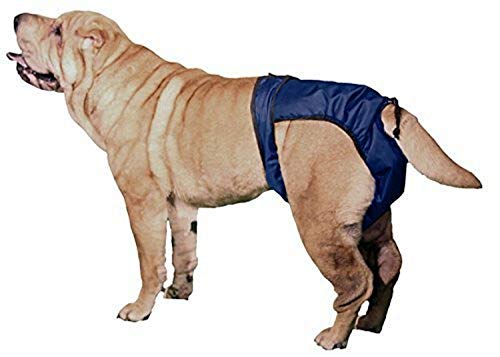 SnuggEase waschbare Schutzhose Windeln für Hunde & Katzen (2er Packung), Medium von KVP