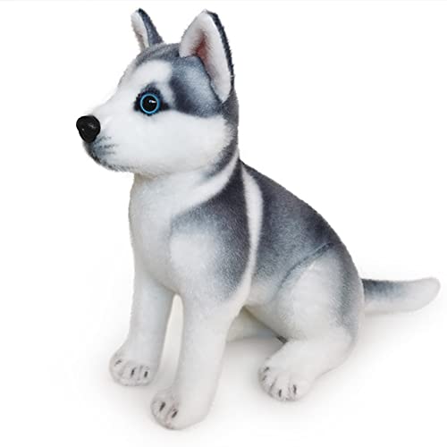 KWIBYBGS Corgi-Hundespielzeug, Plüsch, Kuscheltier, Shiba Inu, Plüschkissen, Süßes Corgi-Stofftier, Plüschpuppe, Hundeplüschtier/Type 3/30Cm von KWIBYBGS