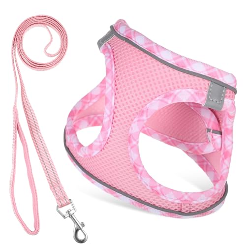 KWJEIULSOQ Hundegeschirr Kleine Hunde mit Leine, Step-in Hunde Geschirr Reflektierend Atmungsaktiv Brustgeschirr Dog Harness Katzengeschirr mit Katzenleine Hundegeschirr für Kleine Hunde, Katzen Rosa von KWJEIULSOQ