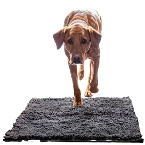 Schmutzfangmatte Hund,Premium cleany mat hundematte clean Matte Hunde Luxus Schmutzfangmatte für Haustiere - rutschfeste Waschbare Absorbermatte für Hund, Ideal für Innen Flur und Haustür von KWJTOY