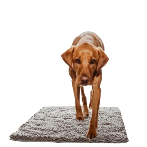 Schmutzfangmatte Hund,Premium cleany mat hundematte clean Matte Hunde Luxus Schmutzfangmatte für Haustiere - rutschfeste Waschbare Absorbermatte für Hund, Ideal für Innen Flur und Haustür von KWJTOY