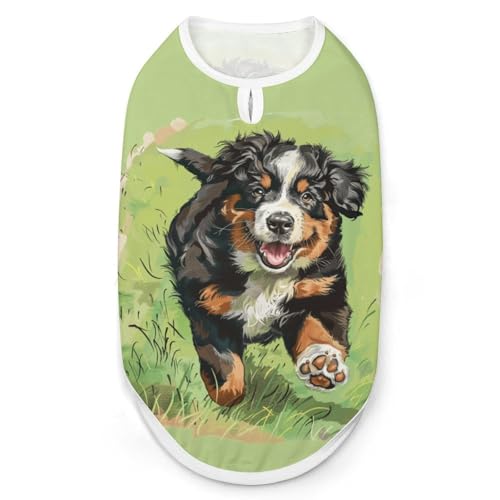 Berner Sennenhund-Welpen, Hunde- und Katzenkleidung, Sommer-T-Shirt, grafische Weste, ärmellos, Haustier-Tanktop von KWQDOZF