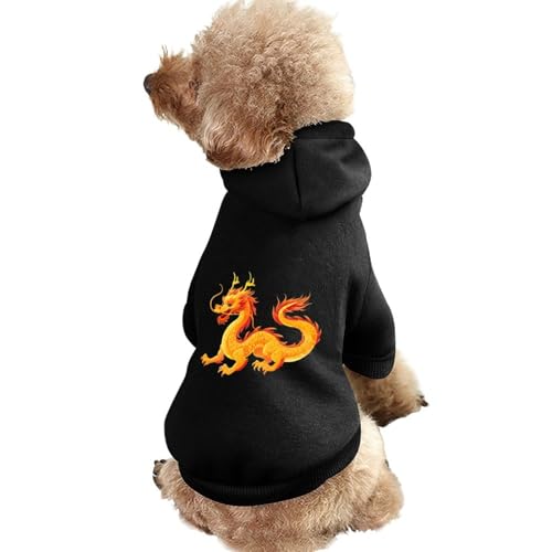 Golden Dragon Hunde-Kapuzenpullover, Bedruckt, lustiges Winter-Hunde-Sweatshirt, Katzen-Kapuzen-Welpen-Outfit, süßes Kostüm für kleine, mittelgroße und große Hunde und Katzen von KWQDOZF