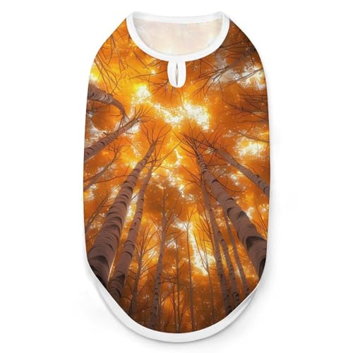 Herbstlandschaft Baum Hunde- und Katzenkleidung Sommer-T-Shirt Grafik Weste Ärmelloses Haustier-Tanktop von KWQDOZF