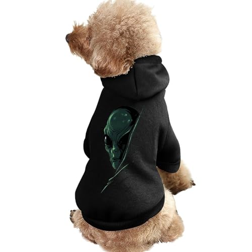 Kapuzenpullover für Haustiere mit Aufdruck „A Hidden Alien – Warmer Hunde-Kapuzenpullover – Süße Outfits – Kleidung für Hunde und Katzen von KWQDOZF