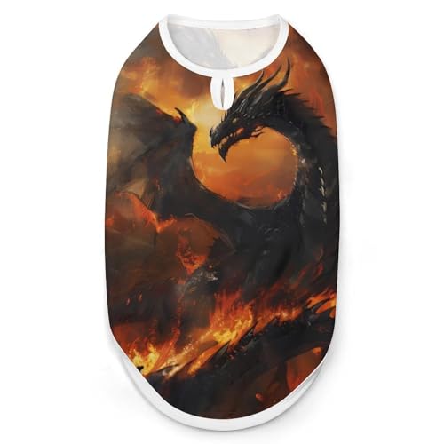 Schwarzer Drache in Flammen Hunde- und Katzenkleidung Sommer-T-Shirt Grafikweste Ärmelloses Haustier-Tanktop von KWQDOZF