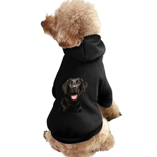 Schwarzer Labrador-Hundekapuzenpullover mit Aufdruck, lustiges Winter-Hunde-Sweatshirt, Katzen-Kapuzen-Welpen-Outfit, süßes Kostüm für kleine, mittelgroße und große Hunde und Katzen von KWQDOZF