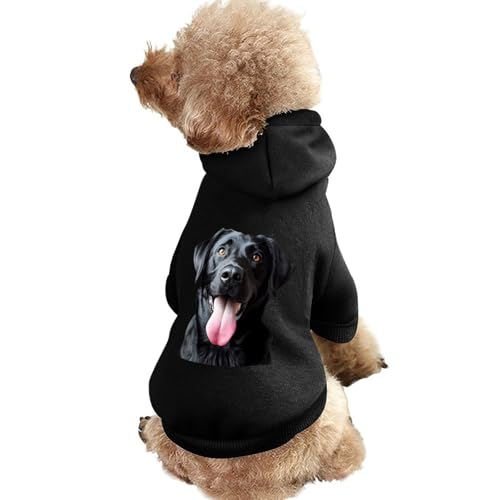 Schwarzer Labrador Retriever-Kapuzenpullover für Hunde, Bedruckt, lustiges Winter-Hunde-Sweatshirt, Katzen-Kapuzen-Welpen-Outfit, süßes Kostüm für kleine, mittelgroße und große Hunde und Katzen von KWQDOZF