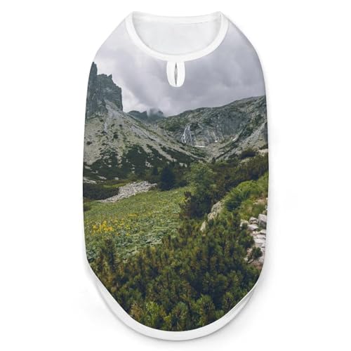 Slowakei Vysoké Tatry Berghunde- und Katzenkleidung Sommer-T-Shirt Grafikweste Ärmelloses Haustier-Tanktop von KWQDOZF