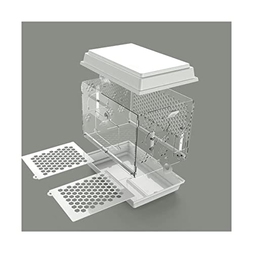 Solid Acrylvogelkäfige kreative Vogelträger tragbare Vogelhaus Großer Vogelhausträger Square Flight Cage für Reisehause Geschenke (weiß) von KXQYIKYI