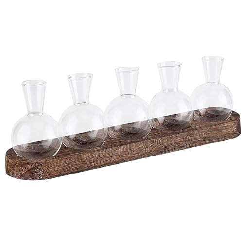 Propagationsstation 5pcs Terrariumglas mit Holzständer Pflanzen Terrarium Desktop Acorn Vase Clear Glass Vase Innenhydroponic Glass Pflanzer Lampen -Vase -Pflanzer für Bürodekoration von KYEQATY