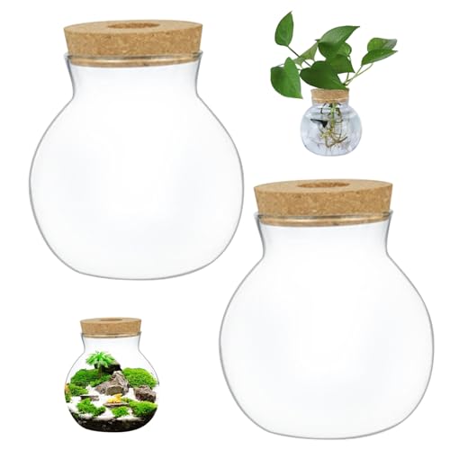 Terrariumglas 2pcs Transparent rundes Glas Terrarium Kaliber 3,2 Zoll Landschaftsgläser mit Korkdeckel DIY Pflanzen Terrarium -Ausbreitung Station für Farn Moos Sukkulente Luftpflanzen m von KYEQATY