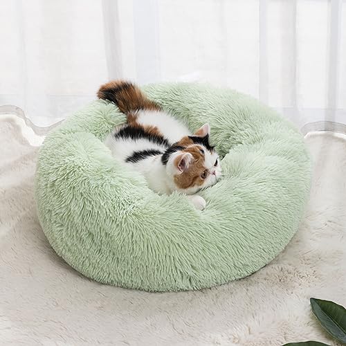 Haustierhütte, rundes Donut-Hundebett, flauschig, warm, Plüsch, für Katzen, Kätzchen, rutschfest, Anti-Angstzustände für kleine und mittelgroße Hunde (40 cm, grün) von KYMMPL