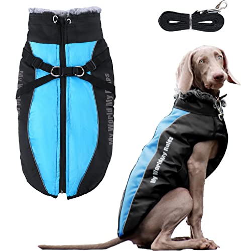 KZLAA Extra Warme Hundejacke für Große Hunde, Winddichte Haustierjacke mit Pelzkragen für Wandern Camping, Reflektierende Hundeweste mit Reißverschlussschutz für Große Hunde Blau 2XL von KZLAA