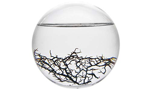 ECOSPHERE Kugel 16CM -White LINE- von KaRo Products