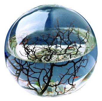 EcoSphere - Miniaquarium aus der NASA Weltraumforschung - handgefertigtes, geschlossenes Ökosystem mit Garnelen - Made in Germany (10cm Kugel) von KaRoFoilFIX