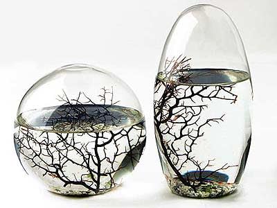 EcoSphere - Miniaquarium aus der NASA Weltraumforschung - handgefertigtes, geschlossenes Ökosystem mit Garnelen - Made in Germany (2er Set) von KaRoFoilFIX