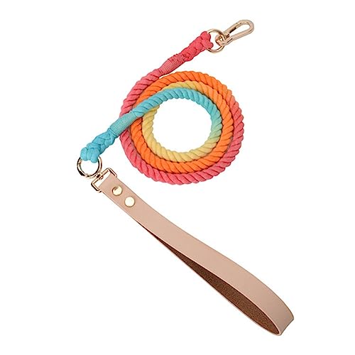 Kahdsvby 1 x Leine, rund, Baumwolle, niedlicher Regenbogen-Haustier, lange Leine, Outdoor-Hundetrainingsleine, Nylon von Kahdsvby