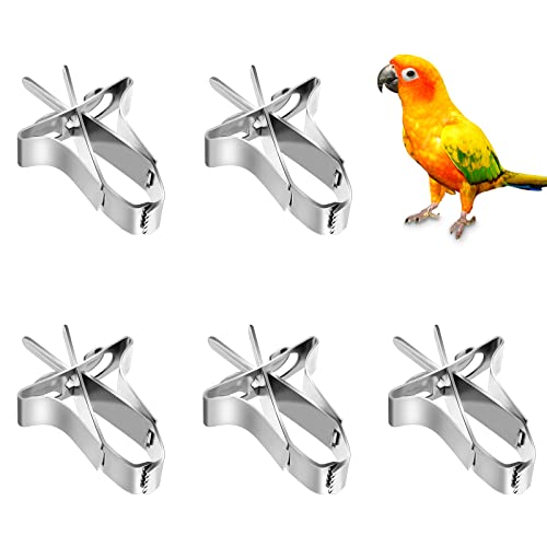 Vögel Futterhalter 5 Stück Papageien Obst Gemüse Feeder Clip, Metall Papagei Gemüsehalter Feeder Clips Vogelkäfig Zubehör für Papageien Wellensittich von Kaisoil