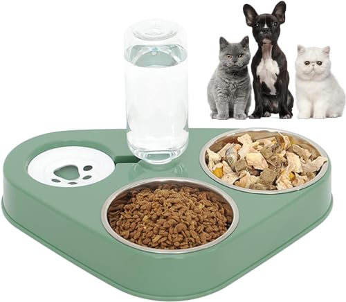 Futternapf Katze,Rostfreier Stahl Fressnapf,3 in 1Futternapf Katzen,mit automatischem Wasserspender,Doppelte Futternapf kleine und mittlere Katzen und Hunde (Green) von Kakbrt