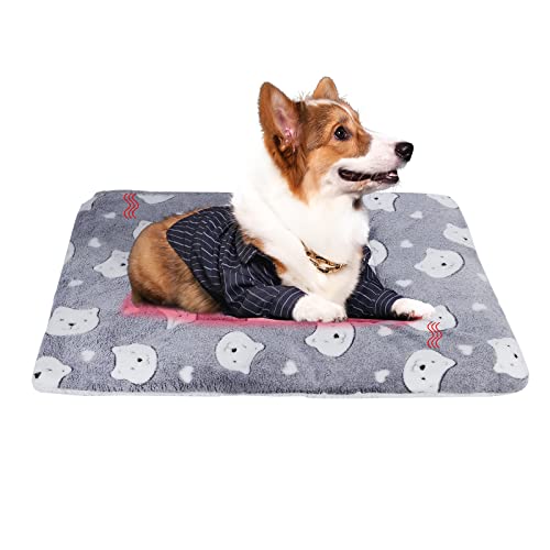 Kaket Ultra Weiche Hundebox Matte 65 x 45 cm, Warme Hundebett Matte Waschbar, Plüsch Haustier Bett Matte für kleine Hunde, Katzen, Haustiere (65 x 45 cm, Grau & Bär) von Kaket